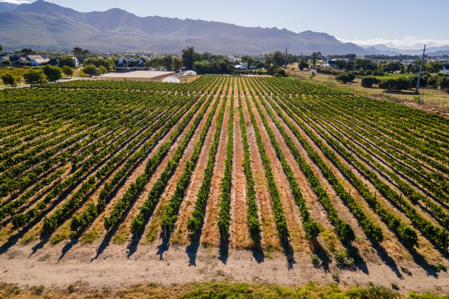 0 Bedroom Property for Sale in Val De Vie Estate Western Cape